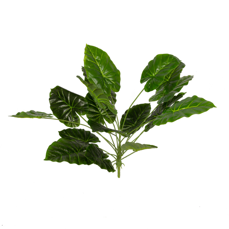 7143/0760-40/2 Куст филодендрон бол.60см