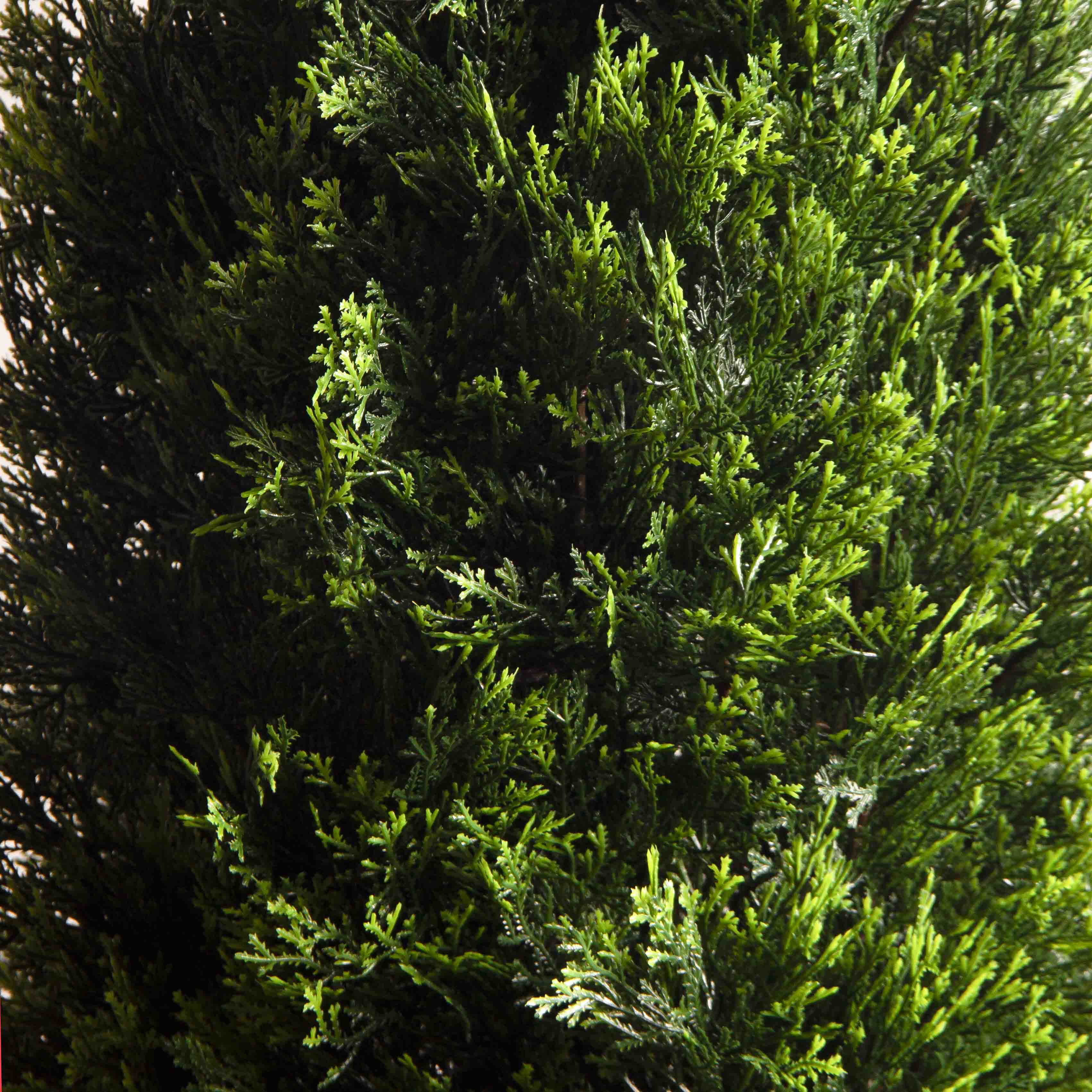 Т180/1466(F) Туя искусственная конус Люкс д/улицы h180см (искусственный ствол)_5