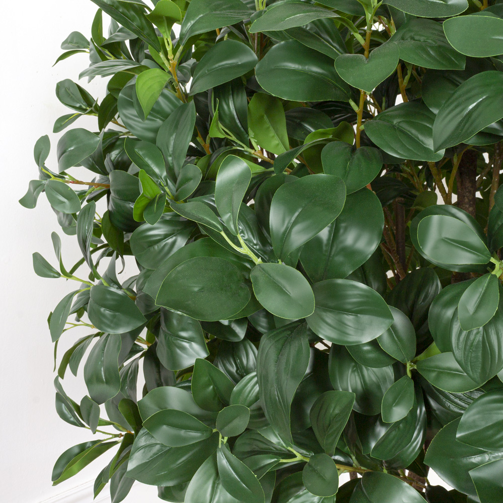 180/РН/64(з.) Рускус искусственный h180см в интерьерном кашпо_2