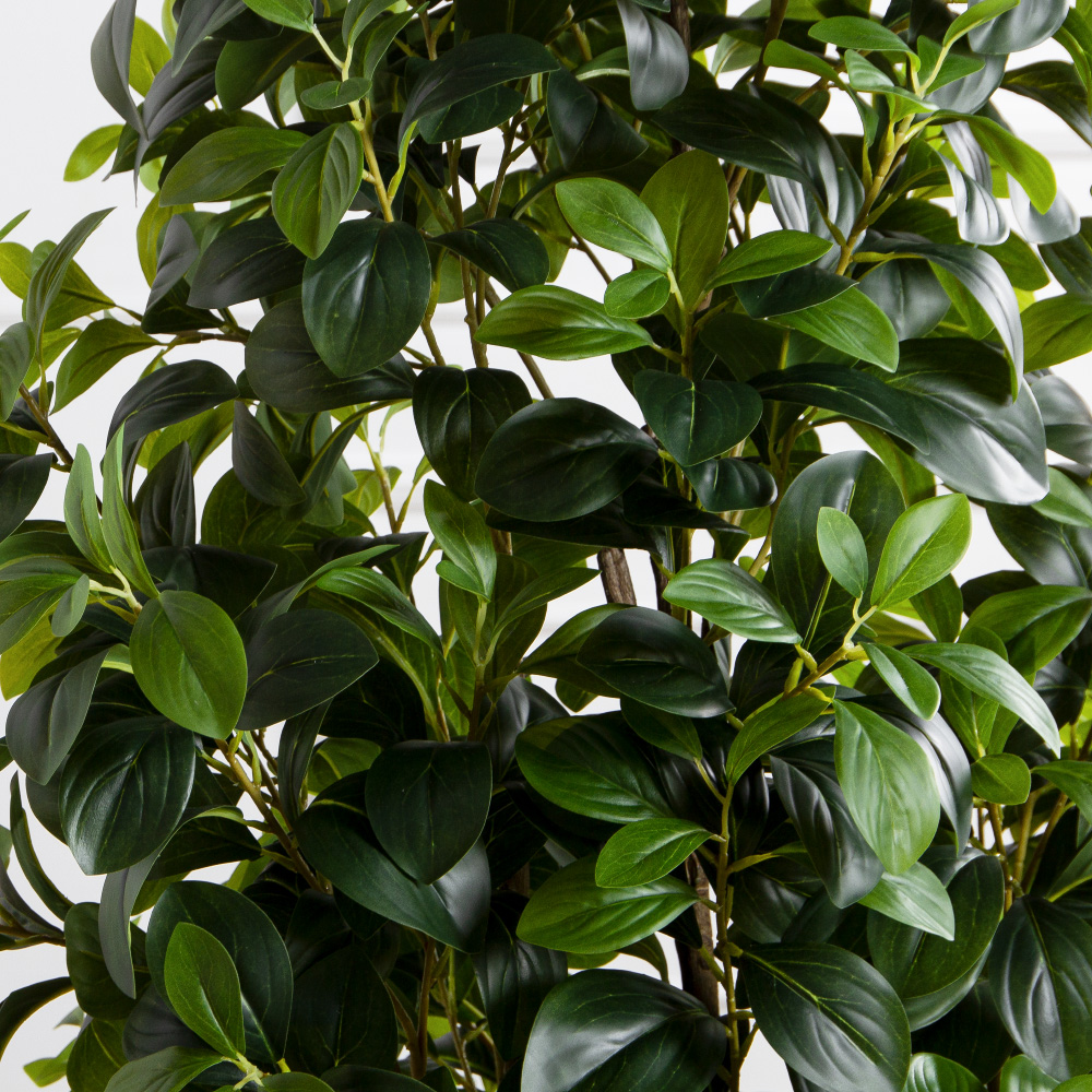 150/ДК/707(Пр)(F) Рускус искусственный куст h150см_5