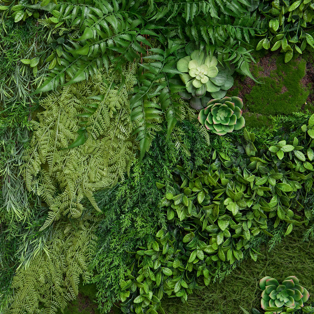 Фитостена 110_3