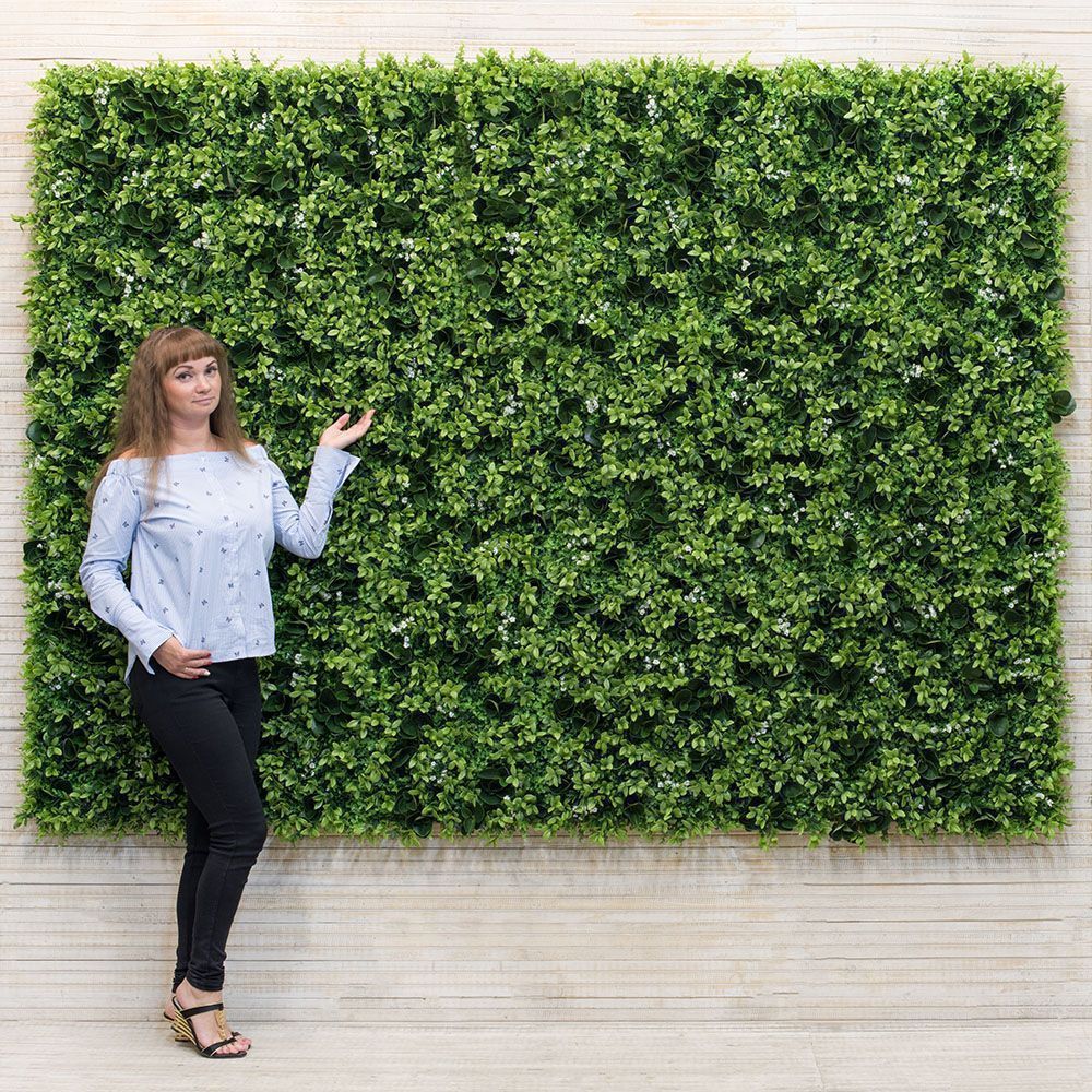 Фитостена 77(з)_6