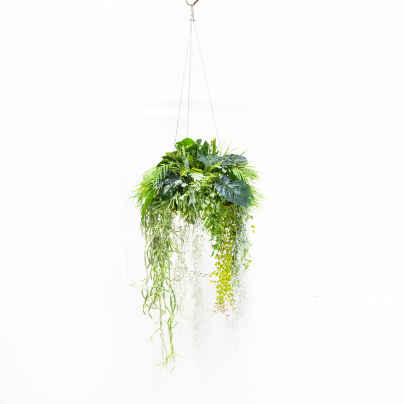 КЗ 23/1 Тропический микс с Тилландсией на основании со мхом d40см