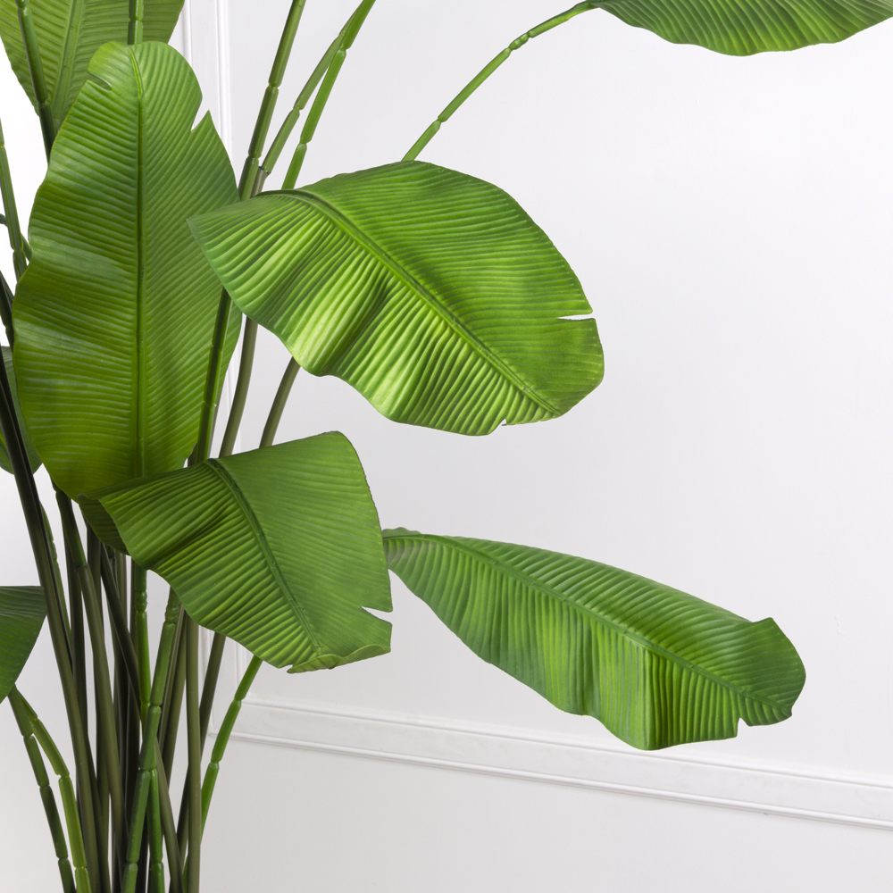 П180/356 Куст Банана (зеленый)h180см(латекс) _8
