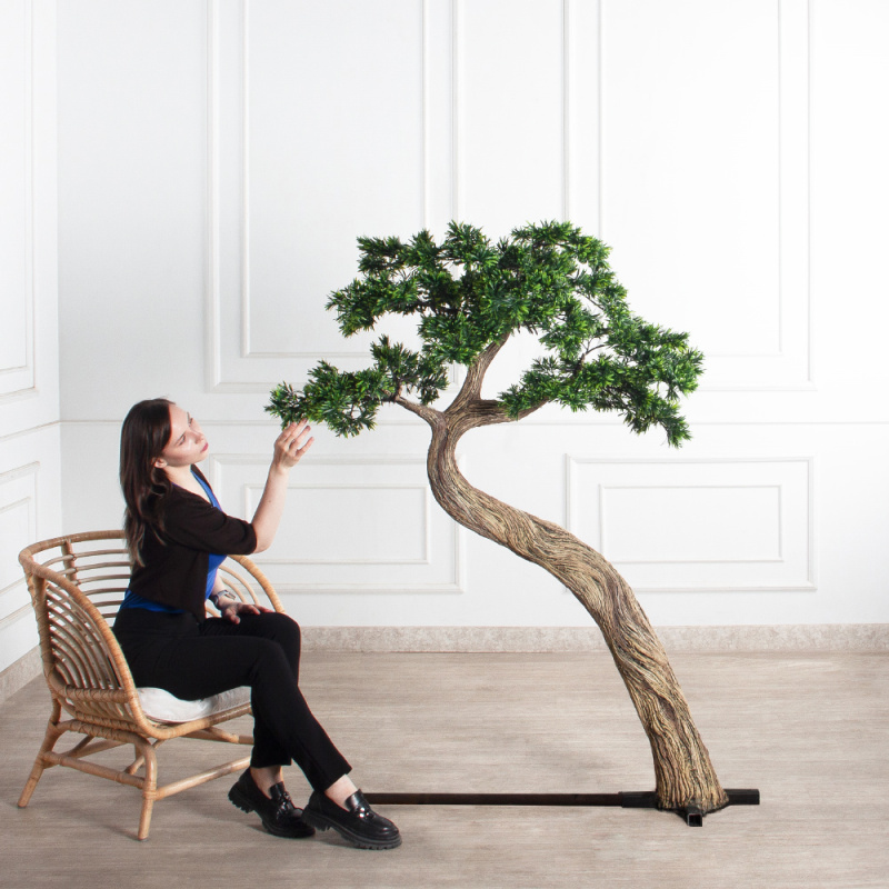 170МЕТ/АСС/241(з)(F) Подокарпус интерьерный h170 d120см_1