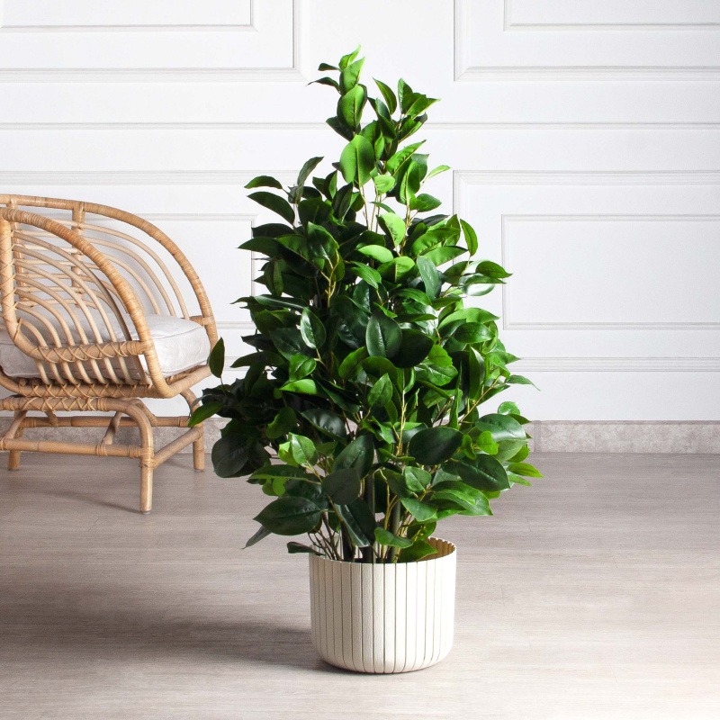 100/РН/504-1(з)(F) Фикус искусственный h100см, латекс_1