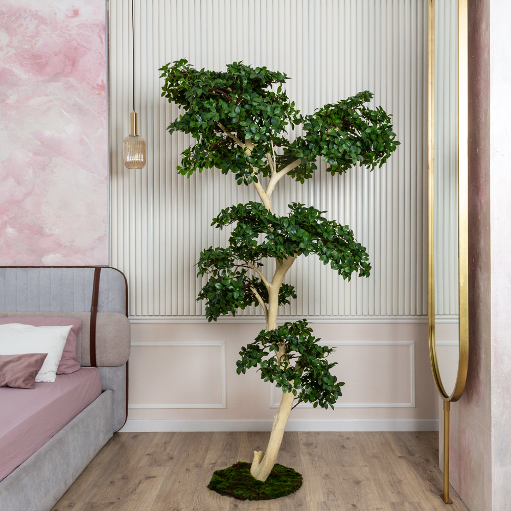 БЛ230/ДА/516(Пр)(F)(Акция) Бонсай искусственный Фикус Микрокарпа h230см (латекс) на основании _10