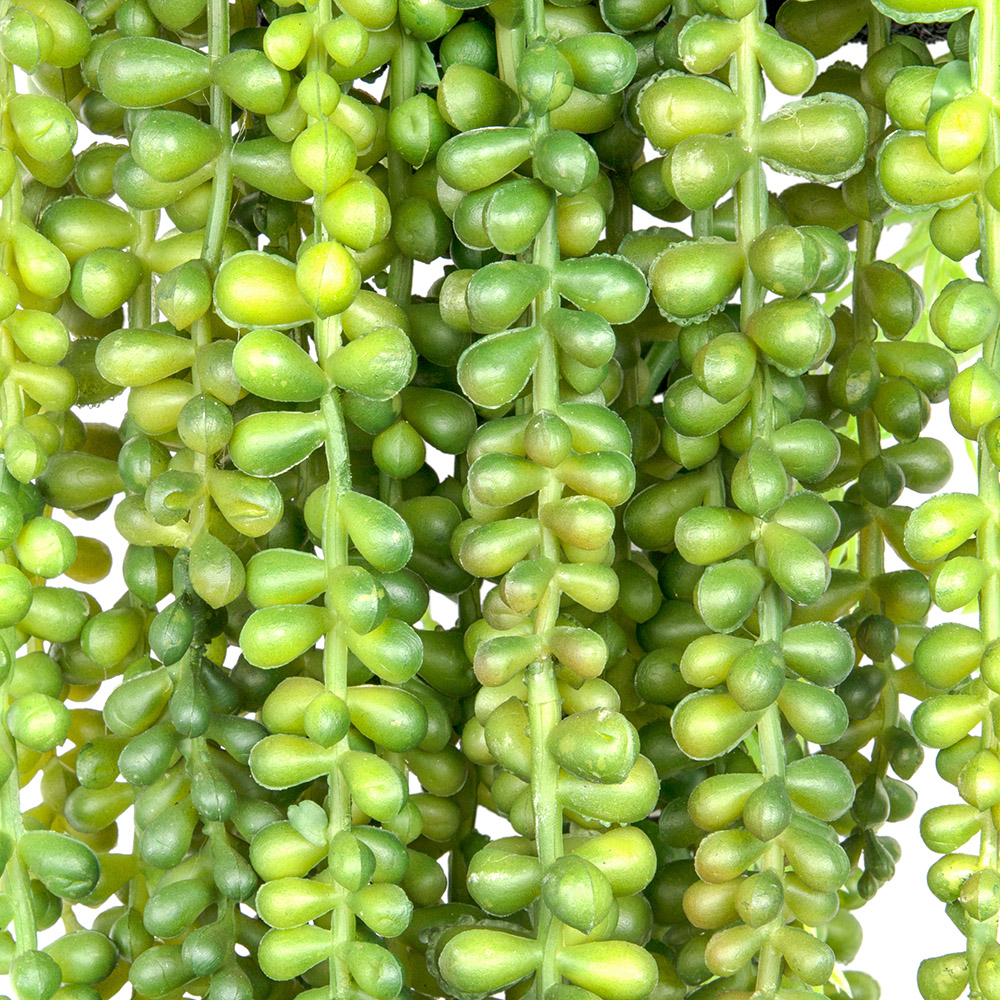 БК 13 Композиция с суккулентом роули на блоке 15*h10_3