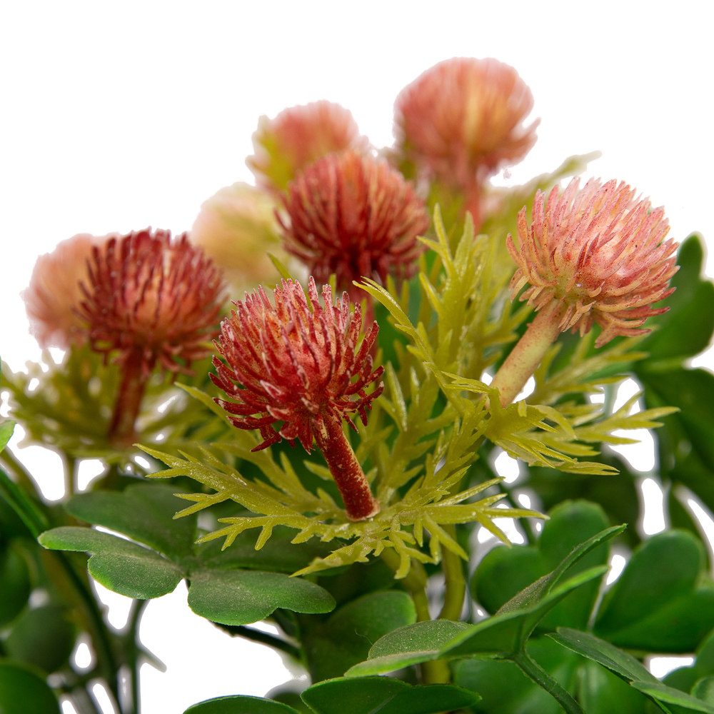 КС35-3 Клевер (малиновый) в пластик. кашпо h-25см (1)-1001x1001_3