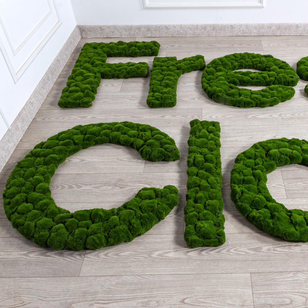 Логотип (з)(F) Fresh class со мхом 610h85см_4