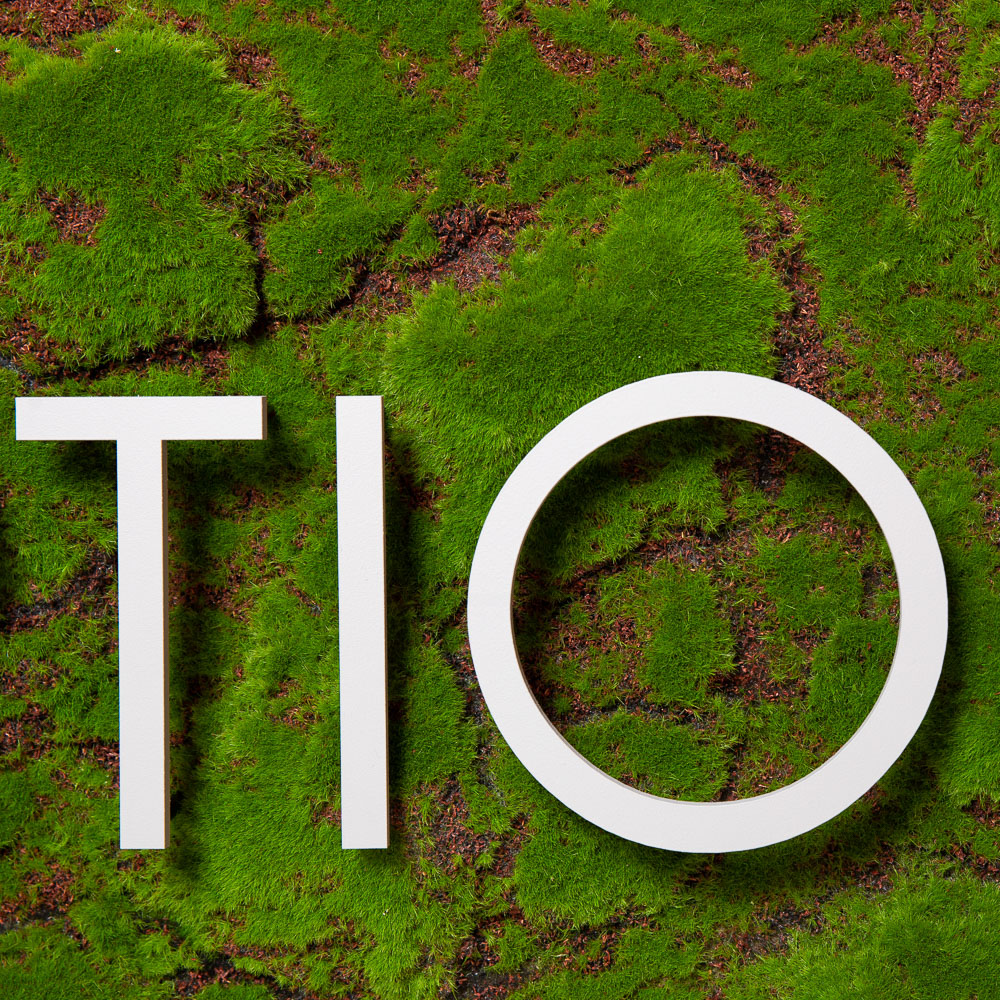 Надпись RECEPTION на основании декорированным мхом 120*h50_3