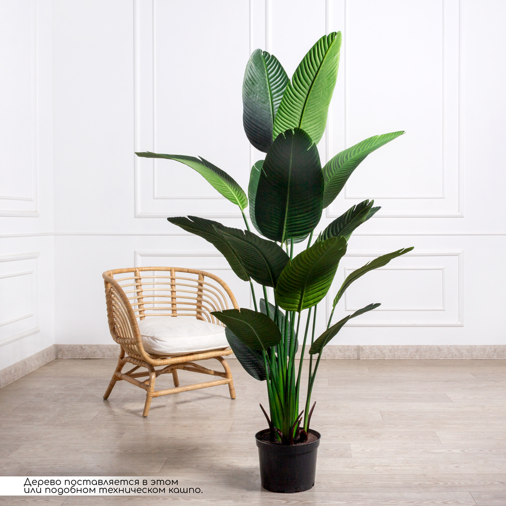 180/К/360(Пр)(Promo)(F) Банановая Пальма искусственная h180см_1