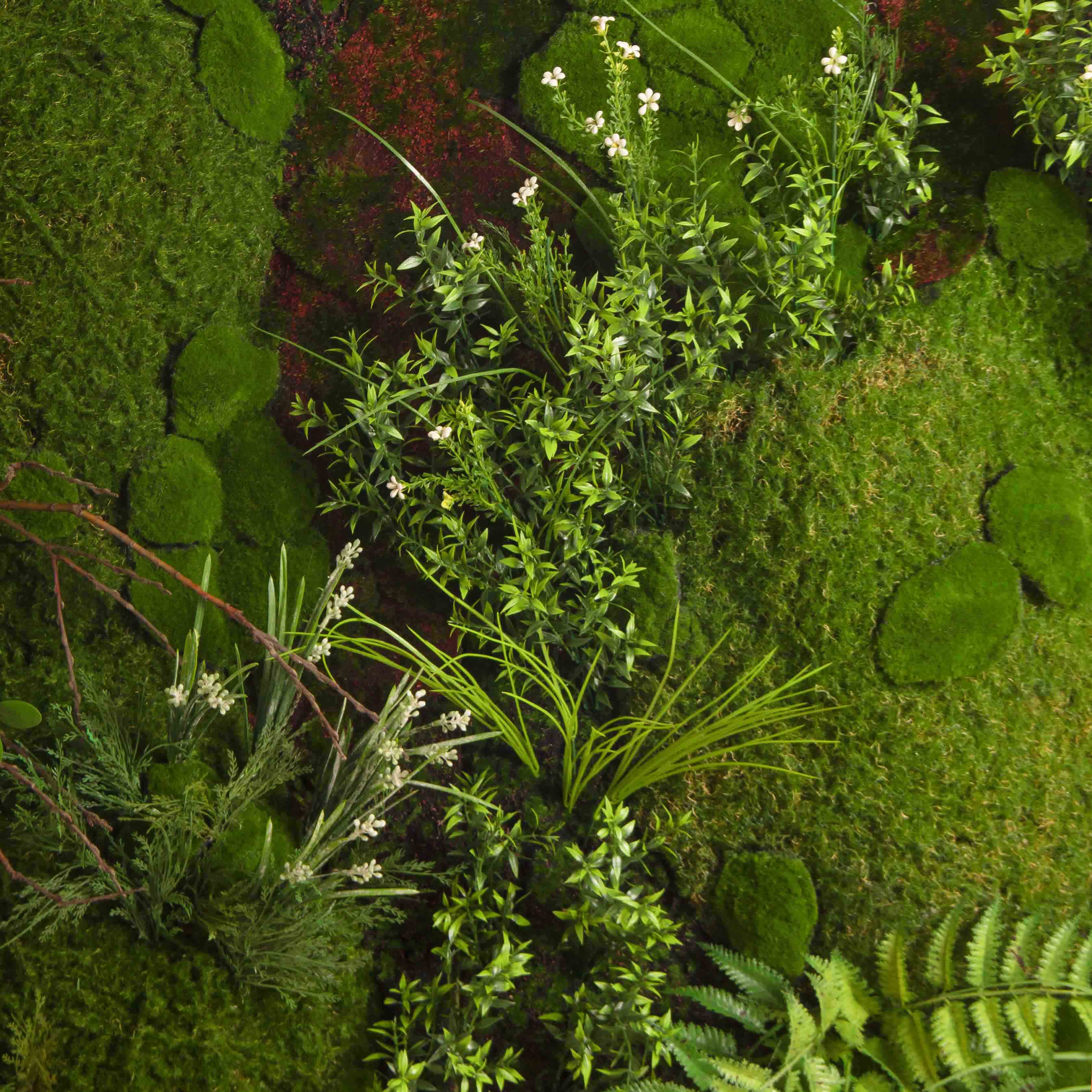 ФТС453(F) Фитостена, за 1кв.м._4