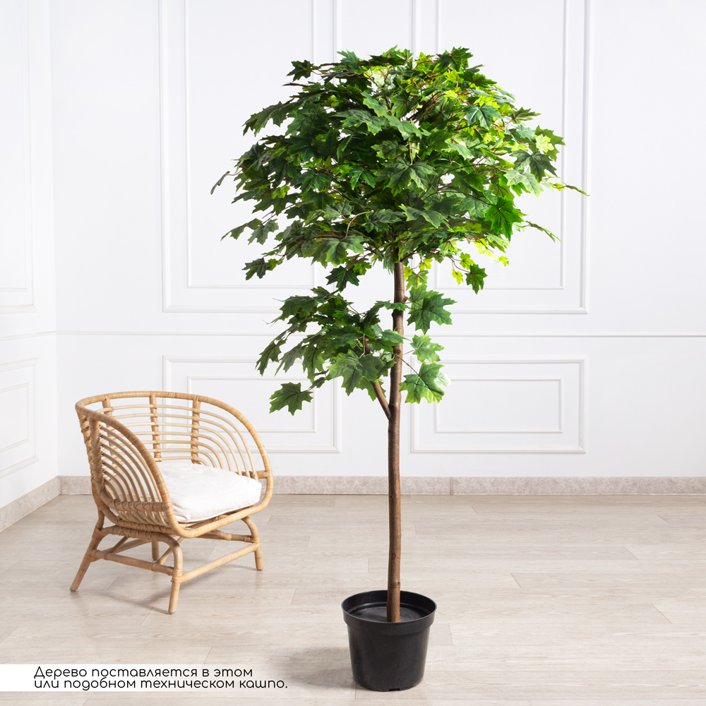 190/2К/207(F) Клён искусственный японский мелколистный h190см_1