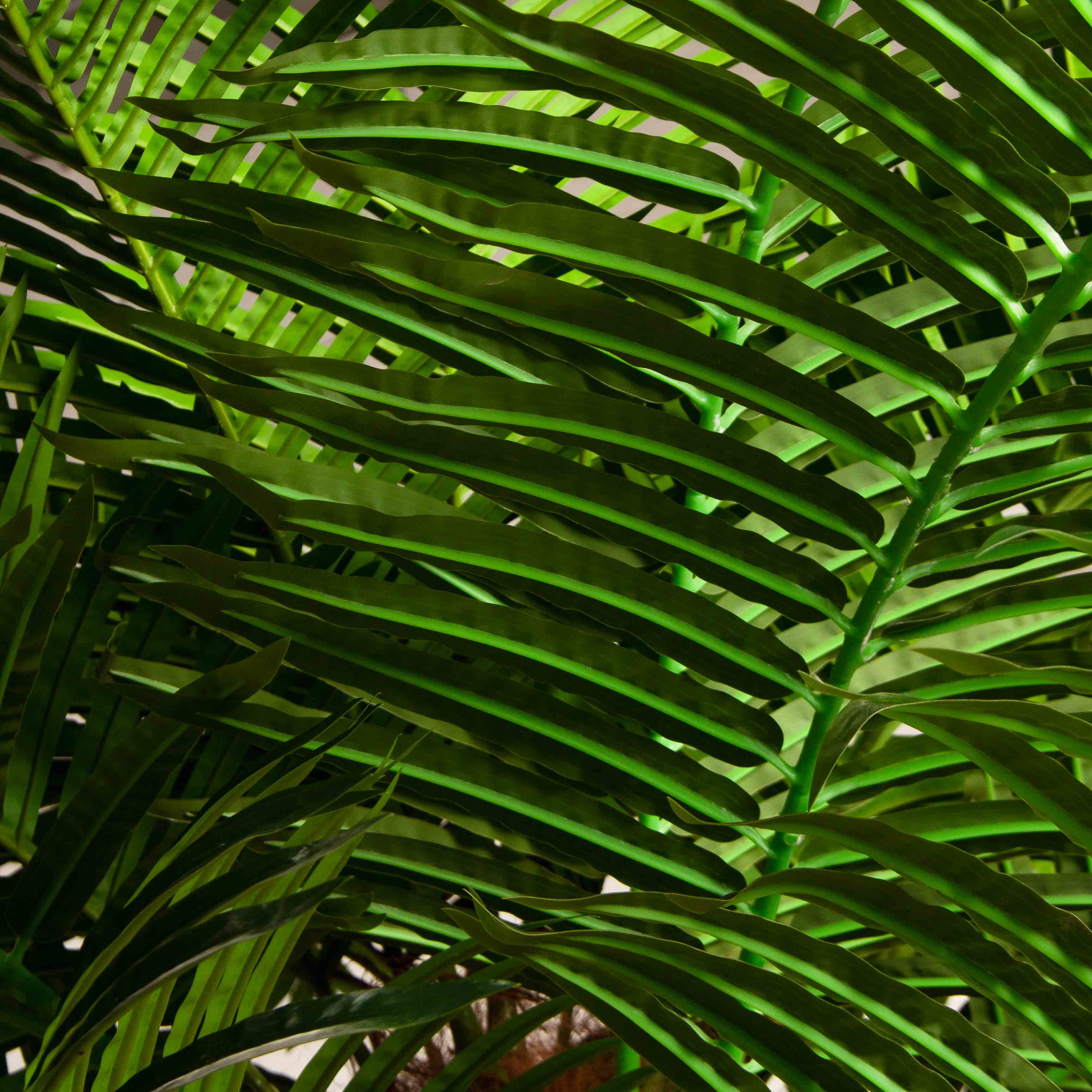 ПС450Разб/ТР/49Прем(Пр)(F) Пальма Арека искусственная h450см на мет.основании_11