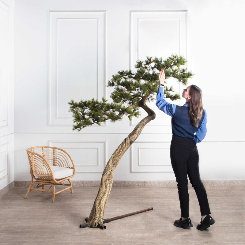 220МЕТ/АСС/540(з)(F) Сосна интерьерная h220 d160см_1