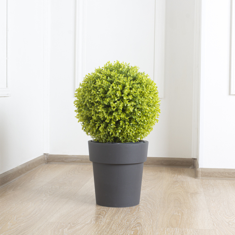 СШКТ35/98-1(з.) Самшит-топиарий d-35см