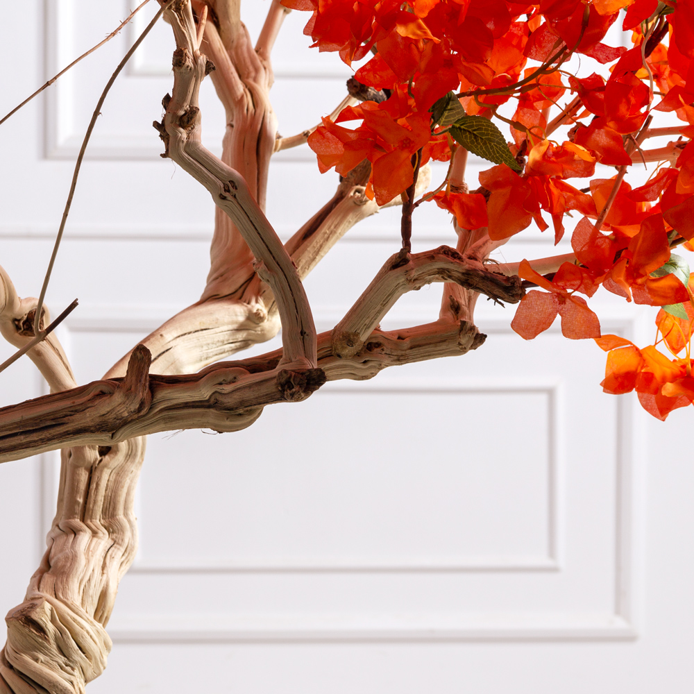 БЦ210/Д3/434(Пр)(F) Бонсай искусственный Бугенвиллия h210см_4