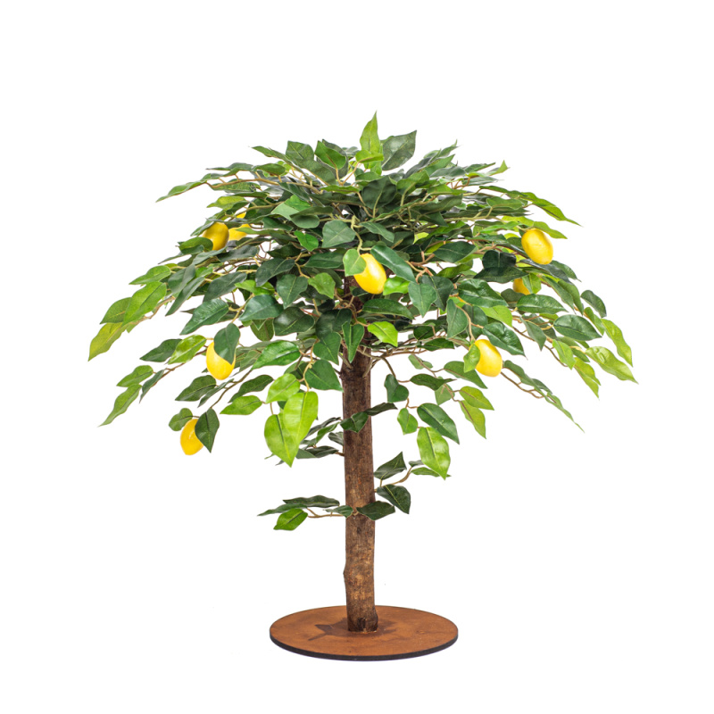 БП 50/41(з.) Бонсай плодовый 