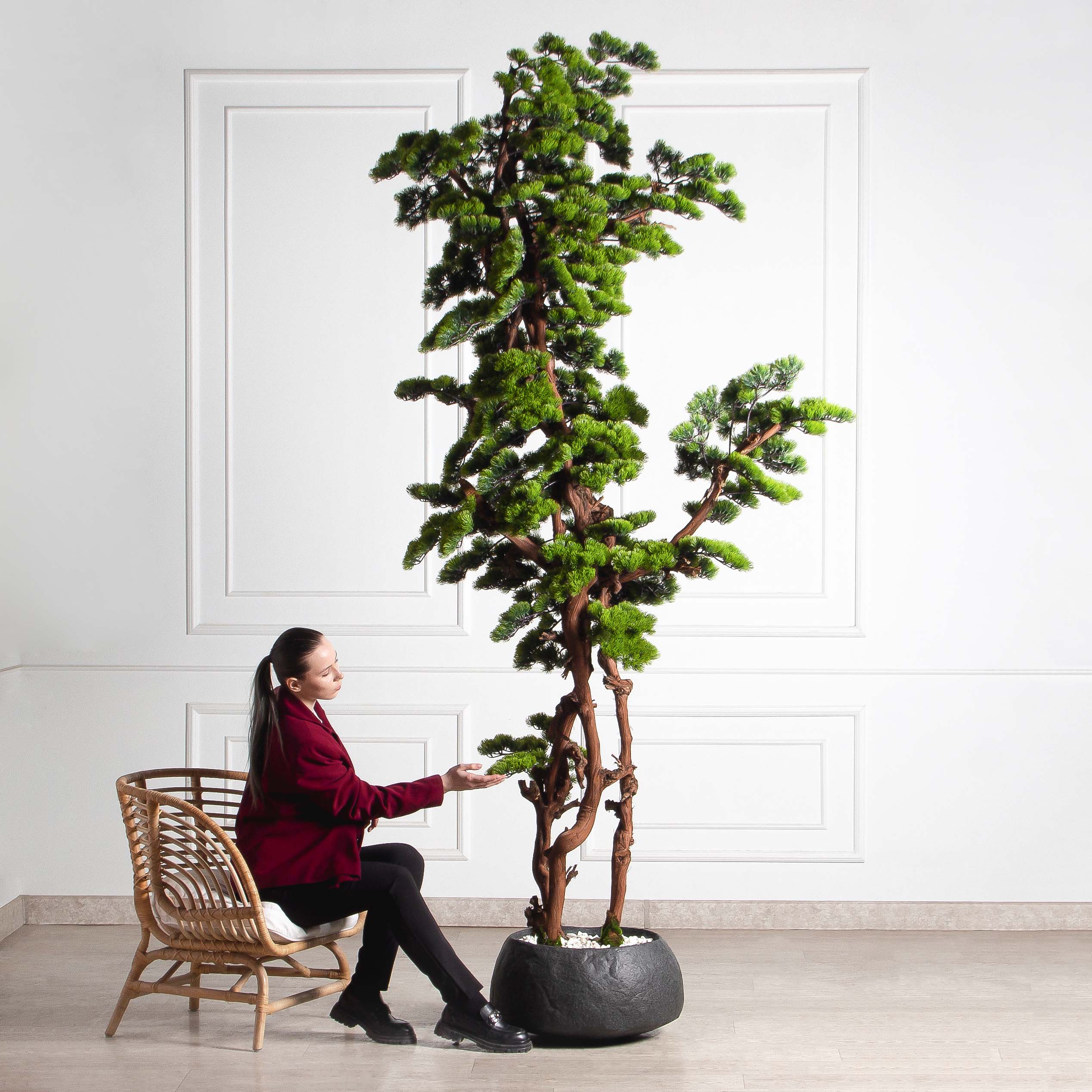 БС300/ОС/30(з)(УУ)(Пр)(F) Бонсай искусственный Сосна h300см d130см_2