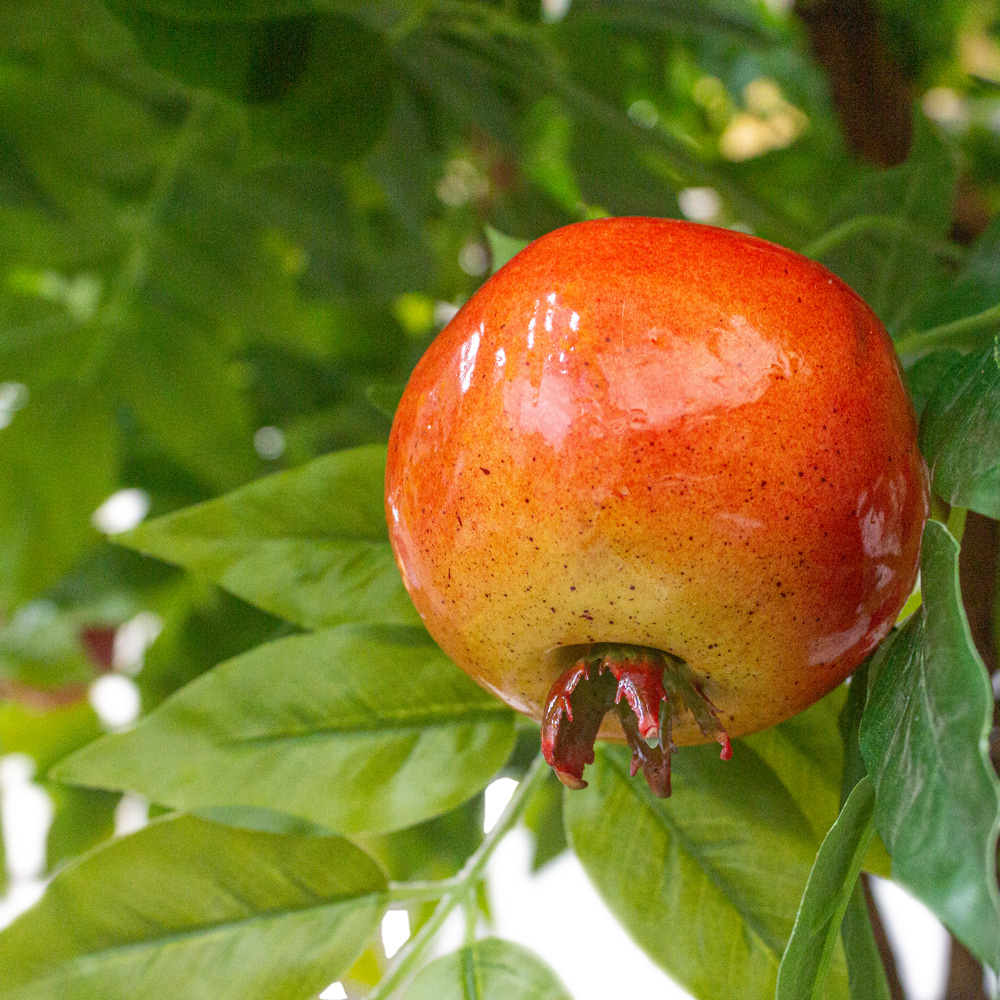 300/ОС/200 Дерево искусственное Гранат с плодами h300см_7