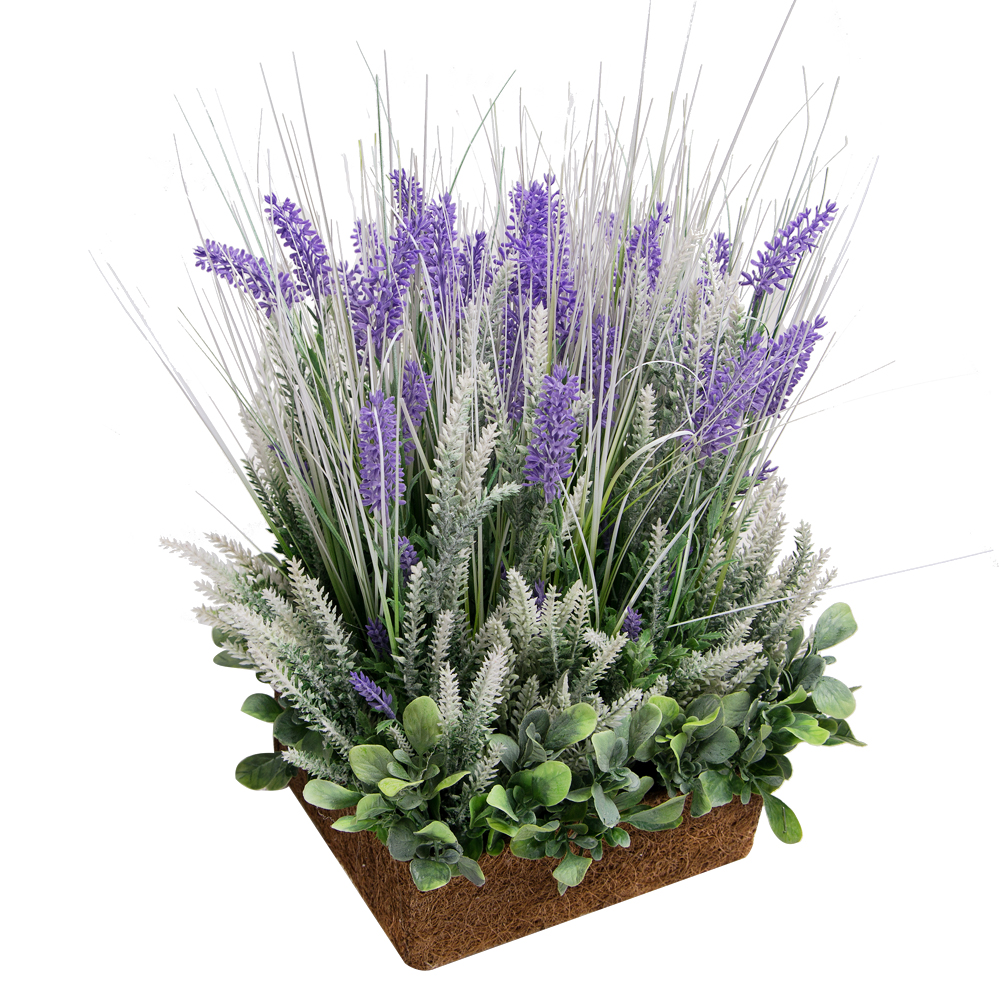 К297(з.) Лаванда h-60см в кокос.боксе (23х19х7)_2