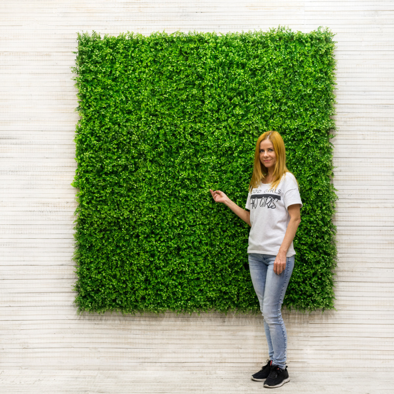 Фитостена 35(з.) (S=1.34хh-3.23)