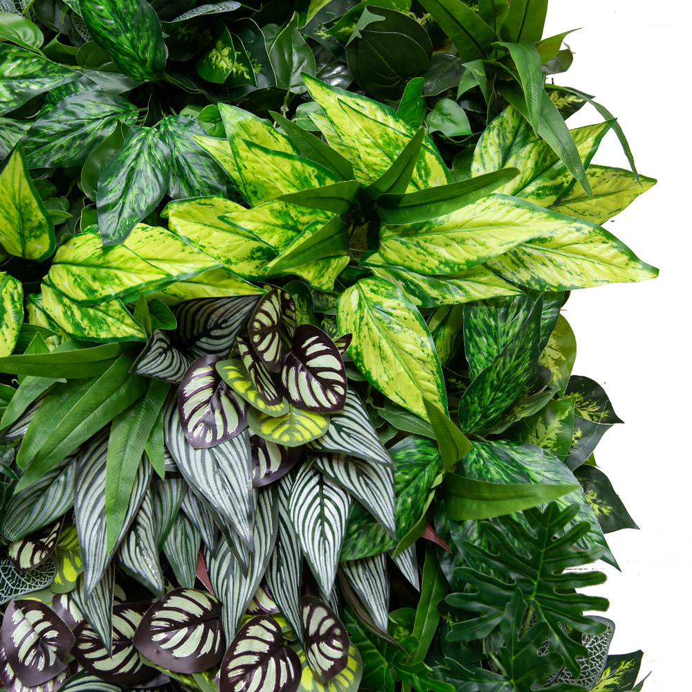 Фитостена 109_2