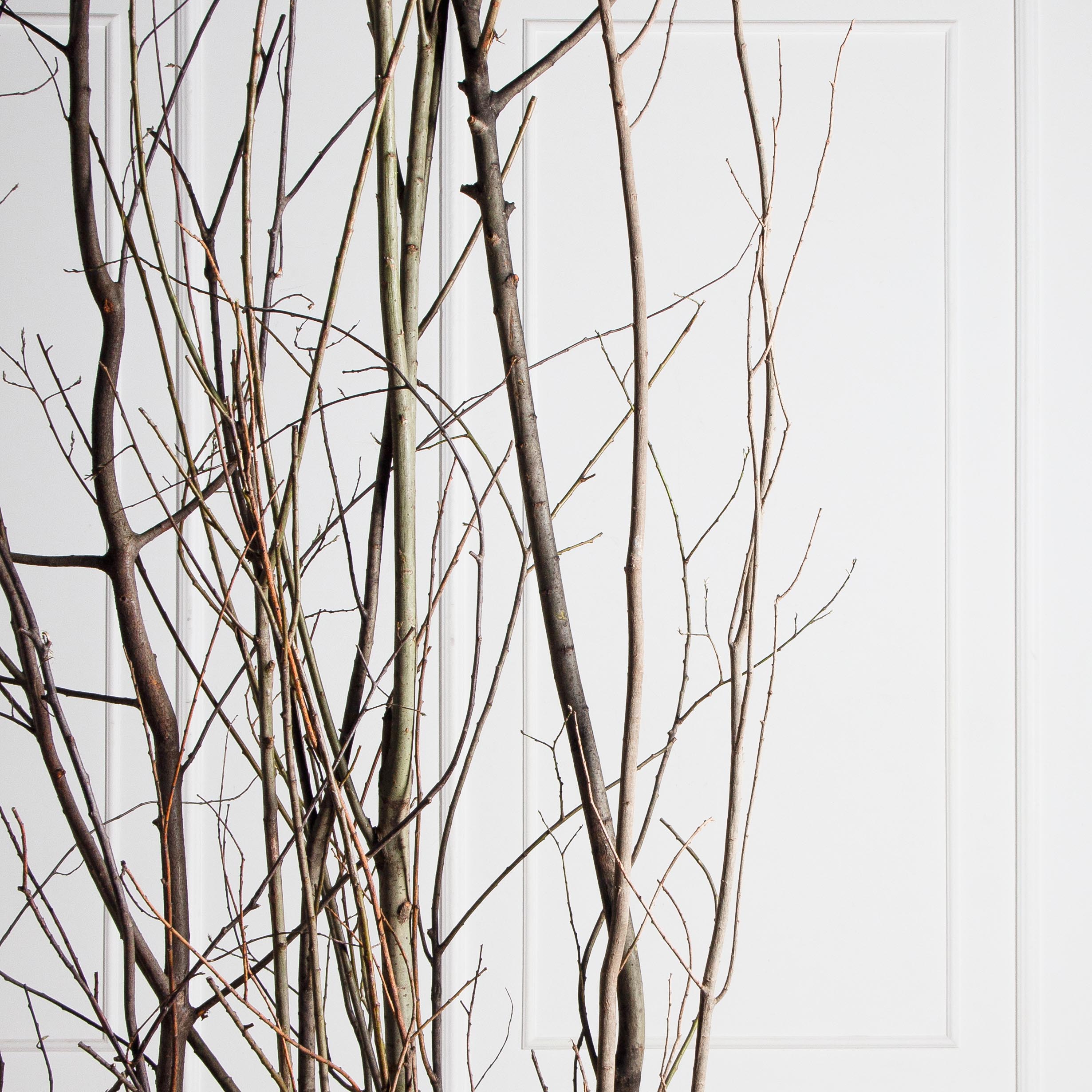 ДИ01-3(з)(F) Изгородь искусственная декоративная 316,5хh370см_10