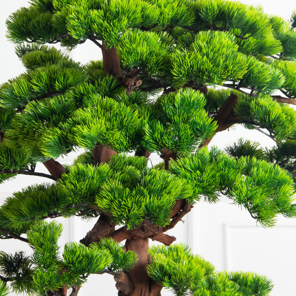 БС150/ОС/30-9(з)(Пр)(F) Бонсай искусственный Сосна h150 и 50см в деревянном ящике 50х30х15см_3