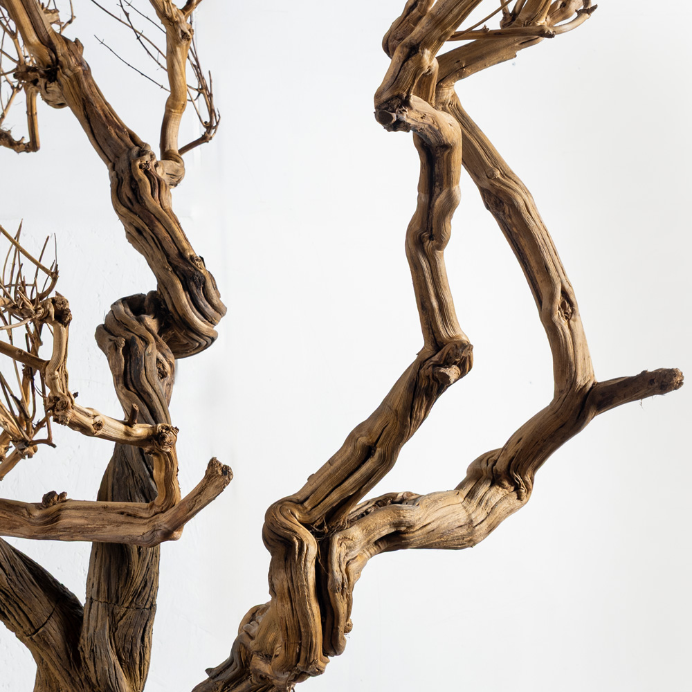 270ГБст/разб/АСС/ДЗх4(F) Дерево интерьерное разборное h270см, на витом стволе_5