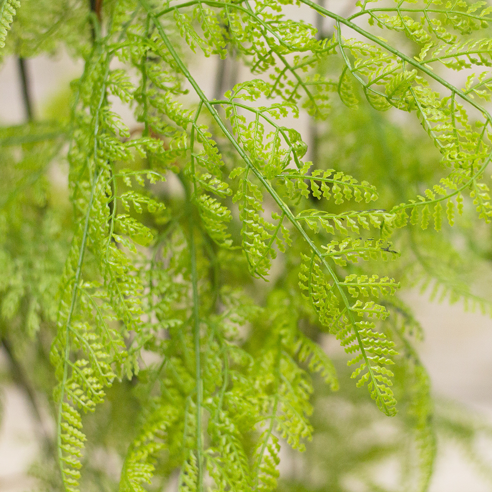 130/К/204(F) Папоротник Даваллия куст искусственный h130см (силикон)_4