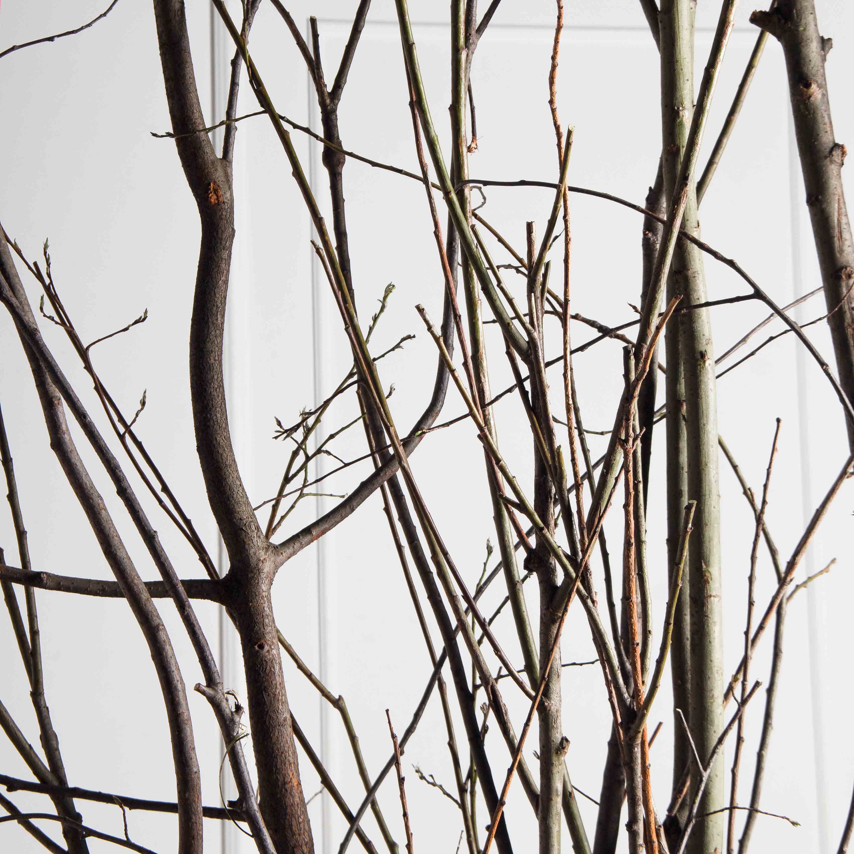 ДИ01-3(з)(F) Изгородь искусственная декоративная 316,5хh370см_8