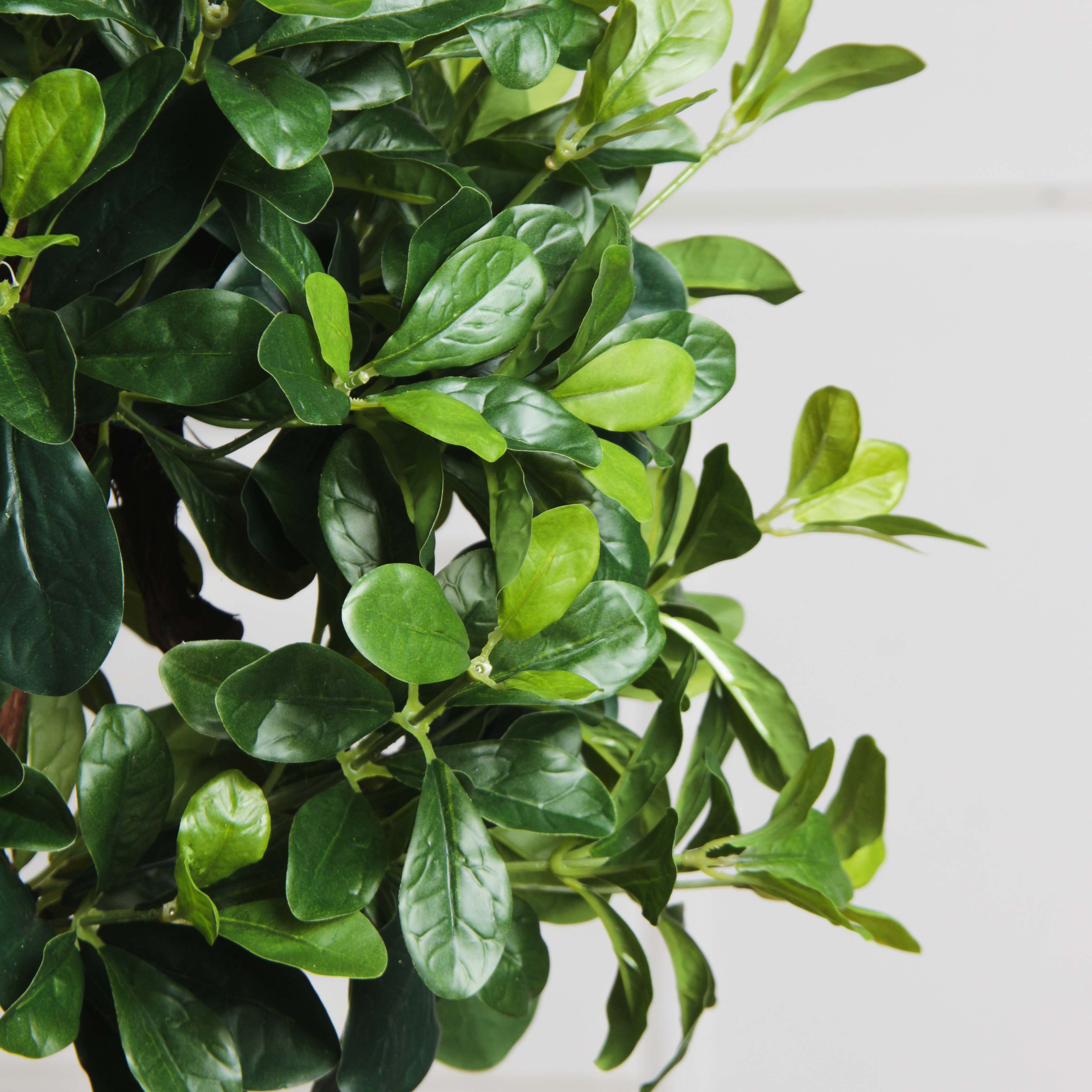 БЛ050/3К/204(F) Бонсай искусственный Питтоспорум h50см (латекс)_4