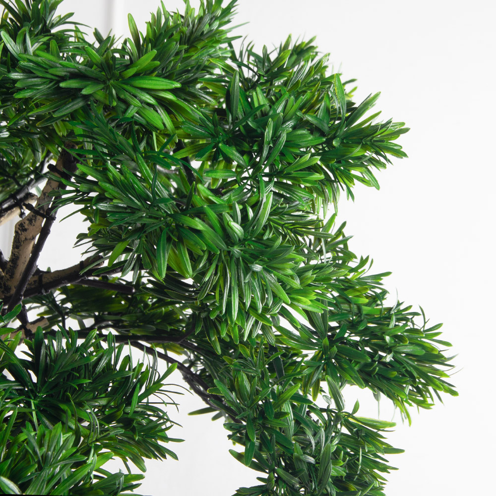 210МЕТ/АСС/241(з)(F) Подокарпус интерьерный h180 d150см_9