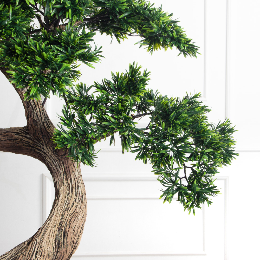 170МЕТ/АСС/241(з)(F) Подокарпус интерьерный h170 d120см_7