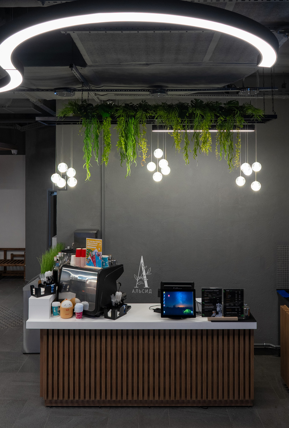 Л62-2 Лиана искусственная со сциндапсусом и мюленбекией L100см_3