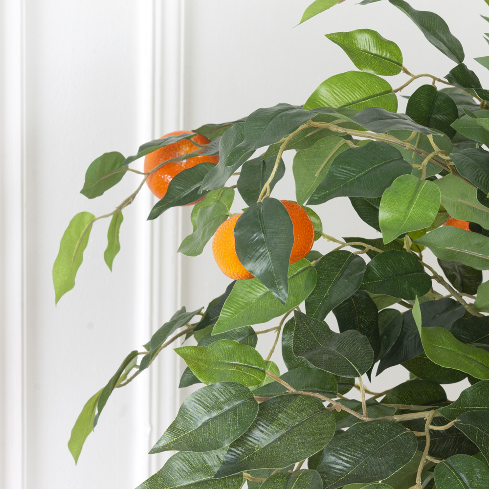 БП 100/2К/39 Бонсай плод. Мандарин-мини 100см (латекс)_24