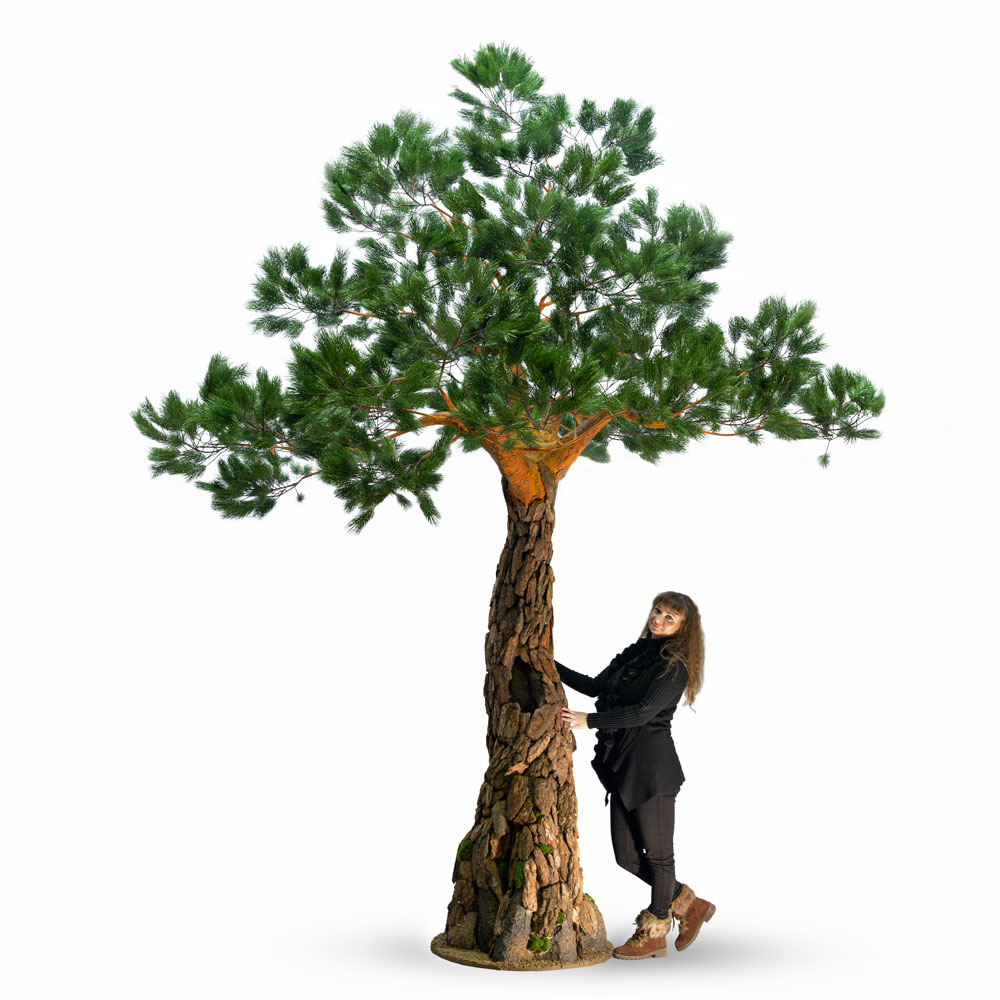 400Разб./нат/224(з.) Сосна с натур.корой h-400см_2