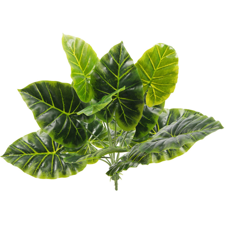 7143/0760-40/1 Куст филодендрон малый *12в h45см_1