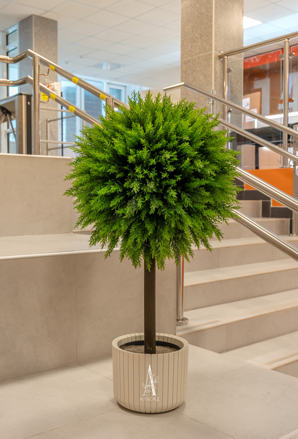 050/ШТ/467(F) Туя искусственная шар Платинум h95см, d50см_12