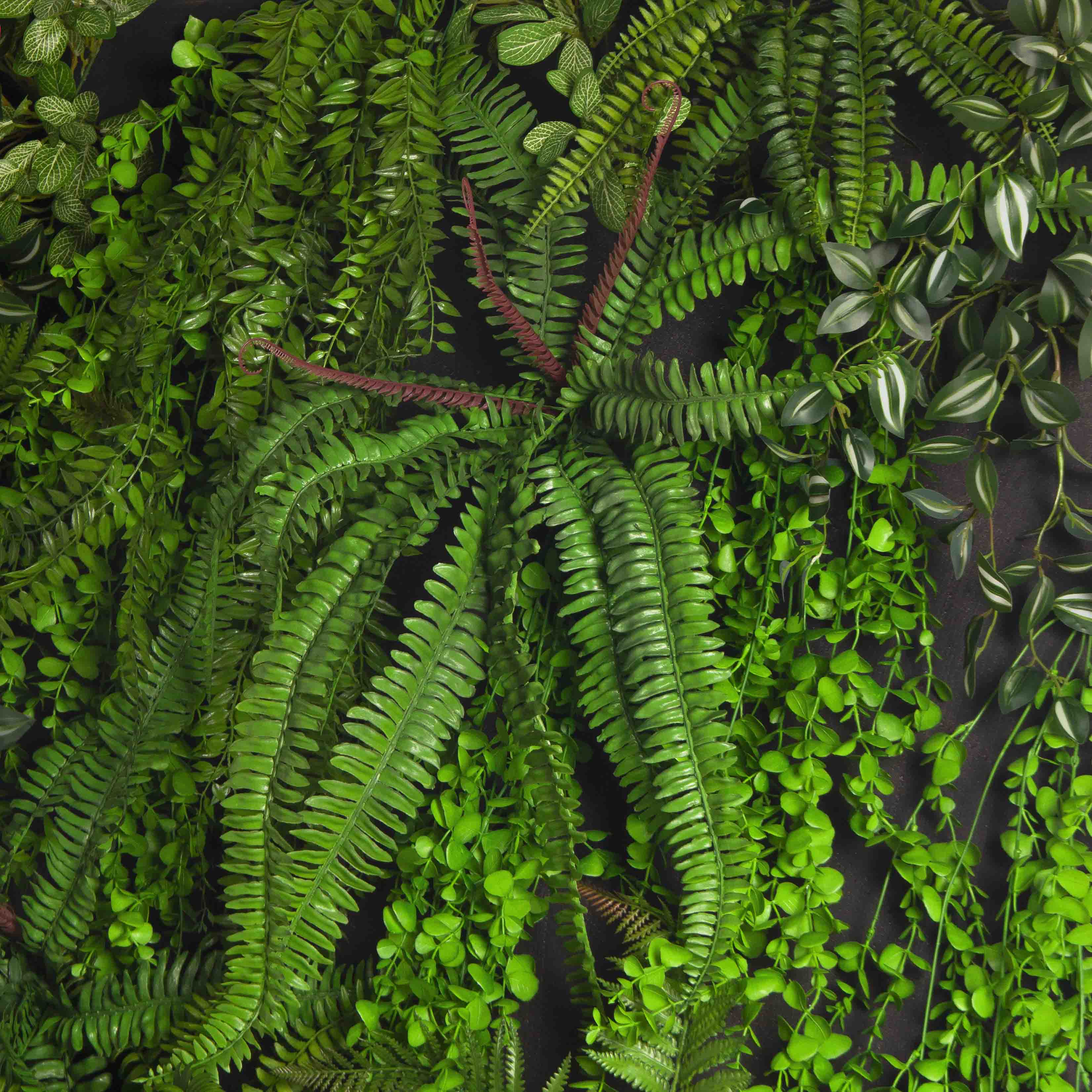 ФТС179(Пр)(F) Фитостена,  за 1кв.м_6