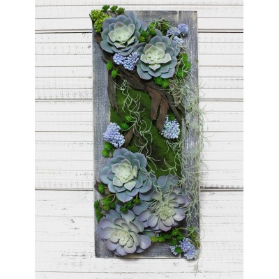 СКФ03-1 Фитокартина с суккул. в дер.раме(гол)25*59