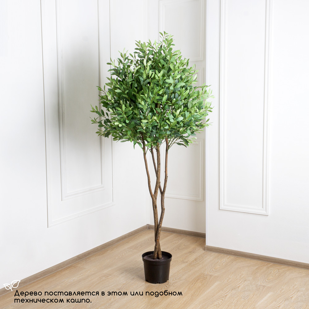 210/РН/196 Дерен искусственный Премиум h210см_4