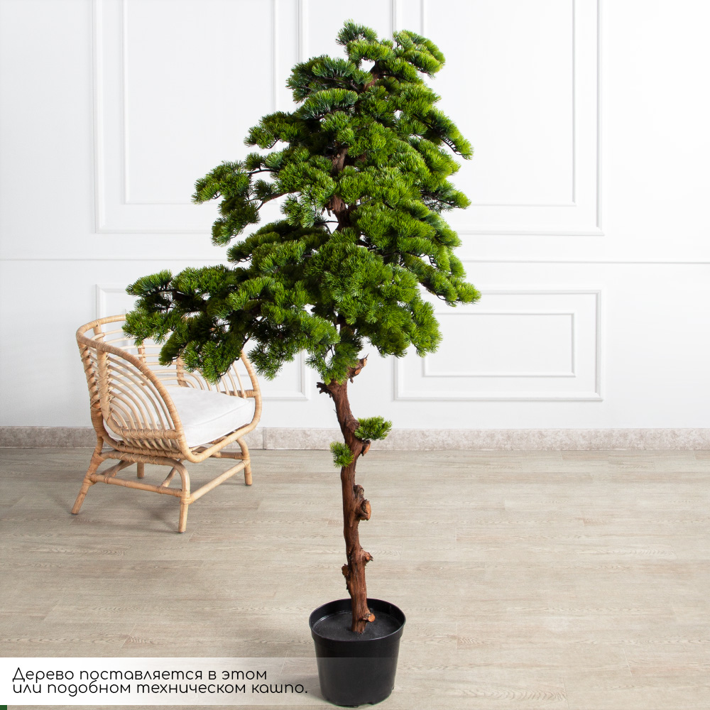 БС180/ОС/30(з)(F) Бонсай искусственный Сосна h180см_2
