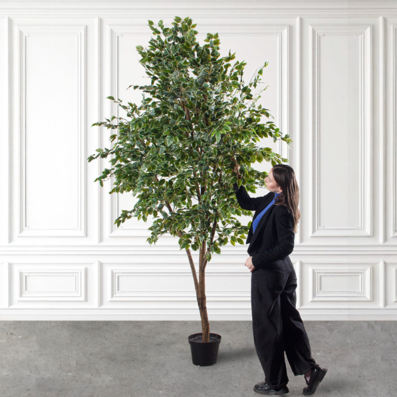 300/РН/17(Пр)(F) Фикус Бенджамина искусственный h300см (латекс)_1