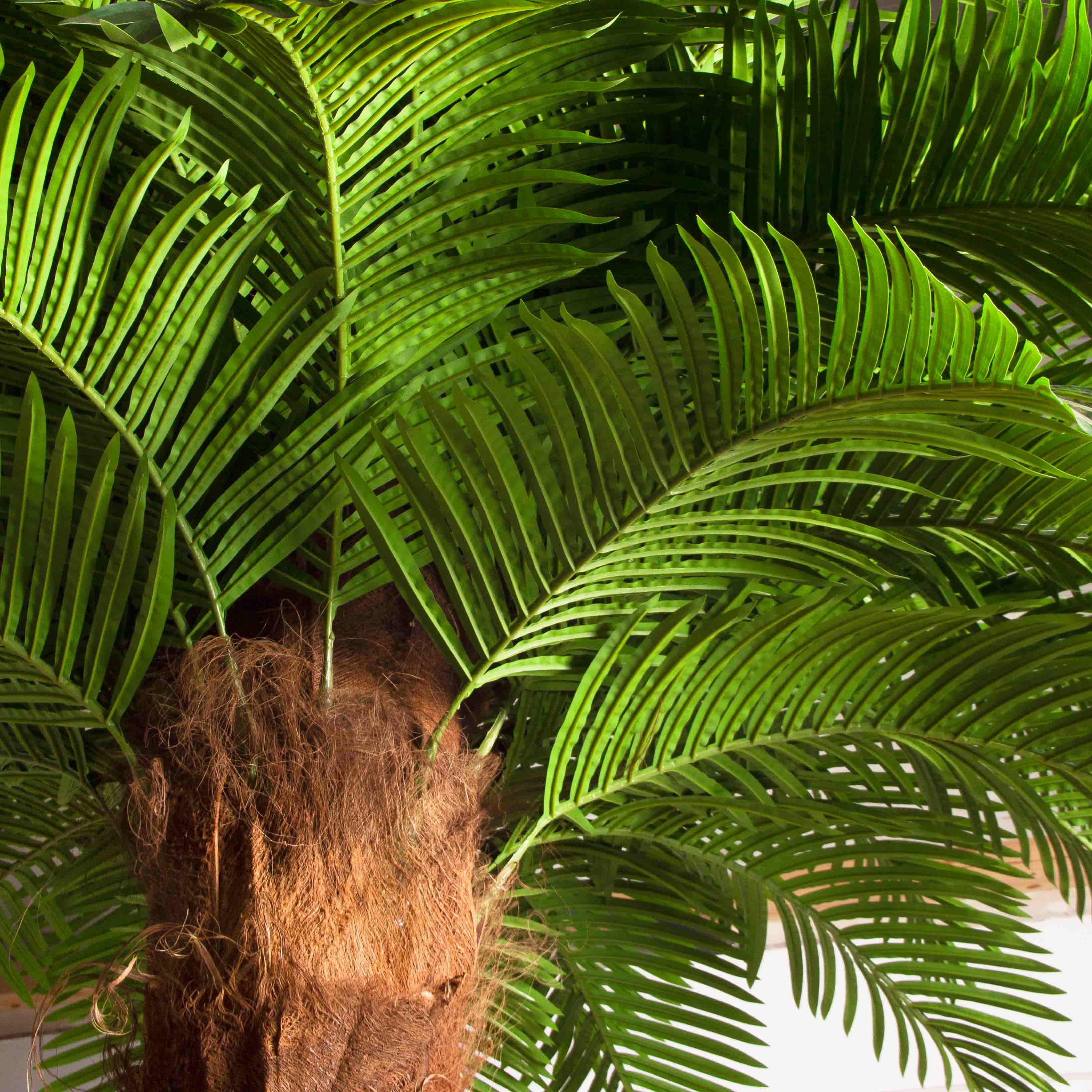 ПС350Разб/ТР/49Люкс(Пр)(F) Пальма Арека искусственная h350см (латекс) на мет.основании_11