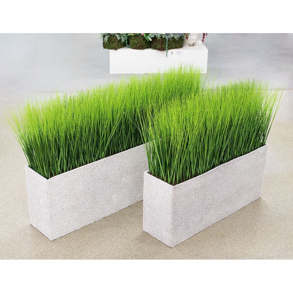 Т008-101(З) Осока h-42см в кокосовом боксе(128*24*_3