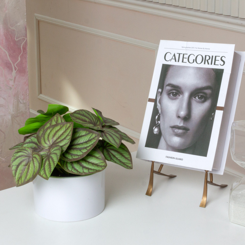 ЦС210(F) Пеперомия искусственная полосатая,зелен-бордовая