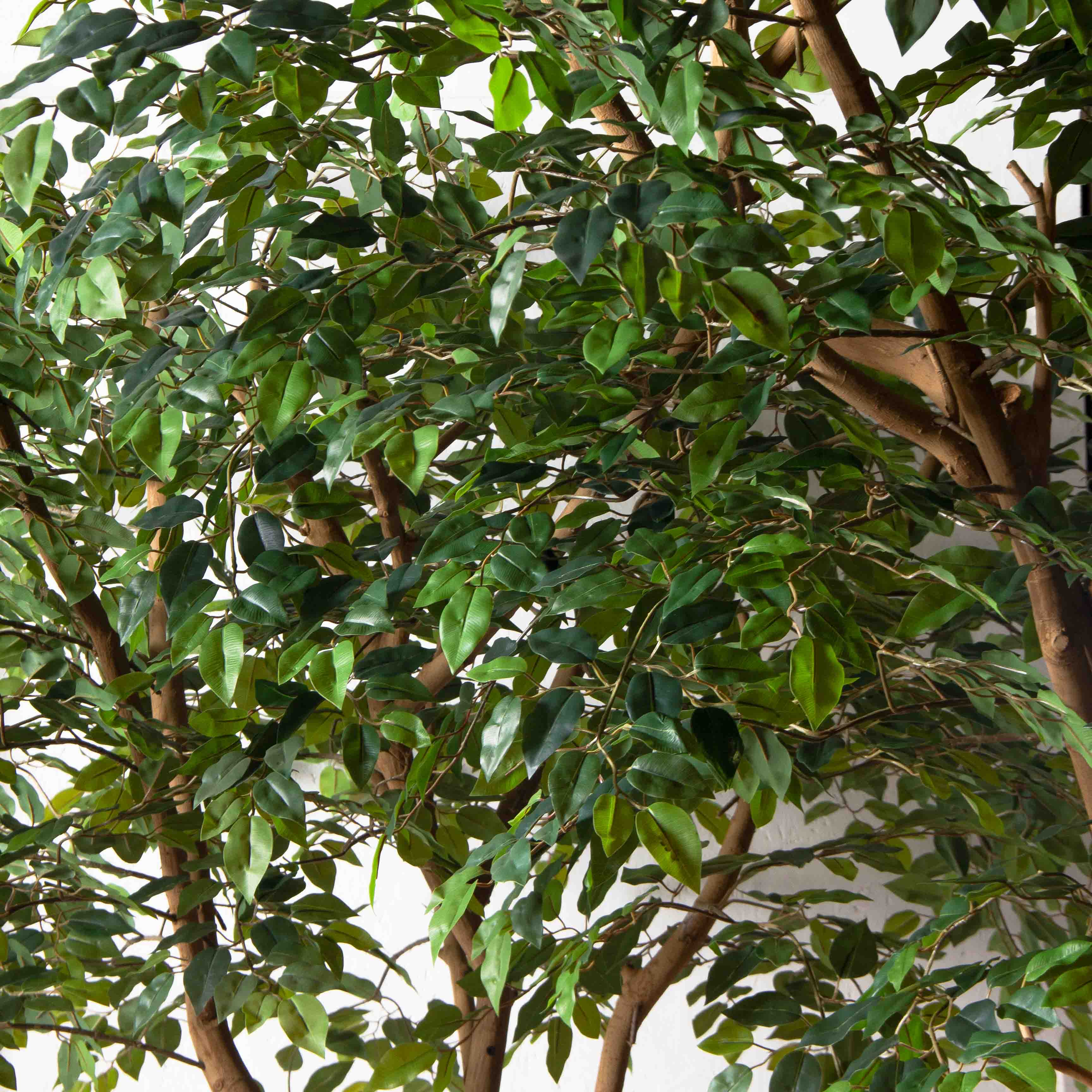 290/ДА/344(Пр)(F)Фикус искусственный h290см_4